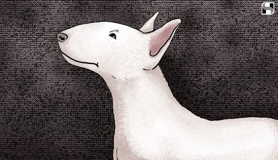 Image for Susan