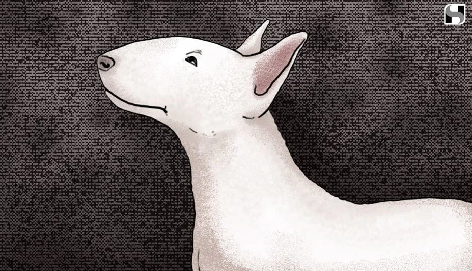 Image for Susan