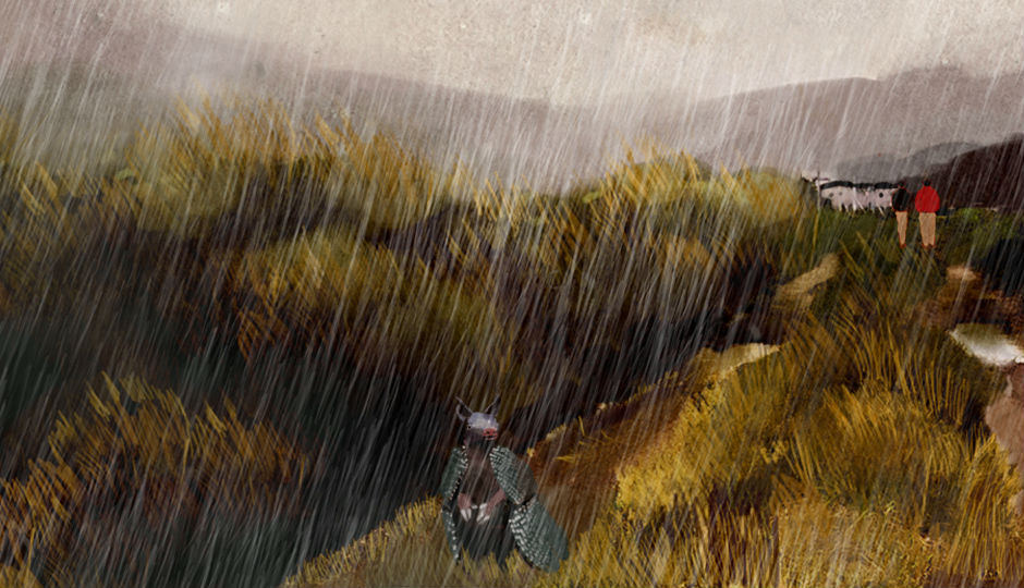 Image for Chasing Armadillos
