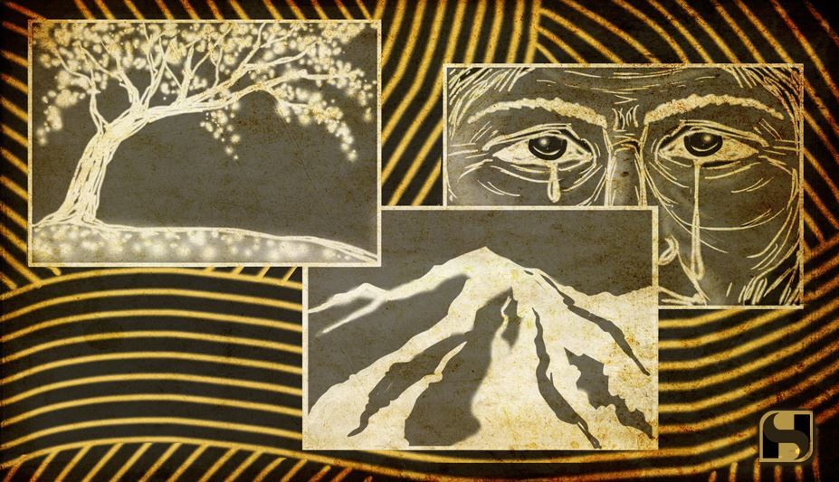 Image for The Weight of Reveries