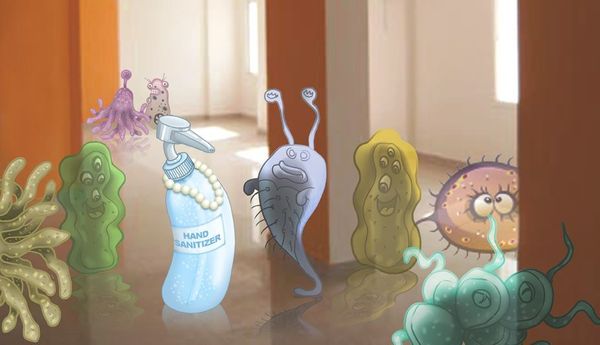 Image for Phoebe