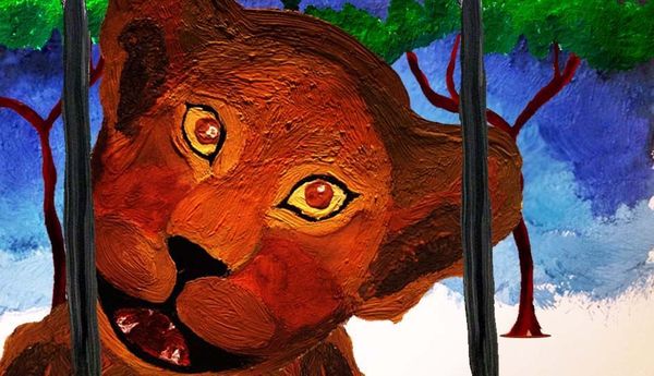 Image for Zoo