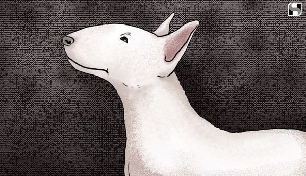 Image for Susan
