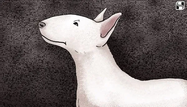Image for Susan