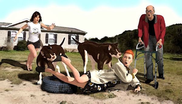 Image for Yard Dogs