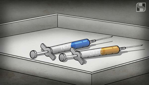 Image for The Virus