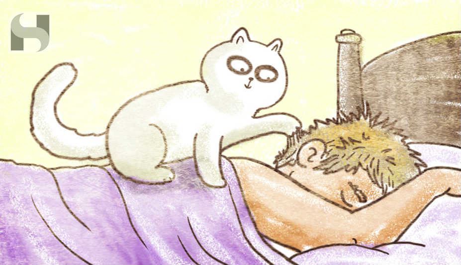 Image for Mitzi